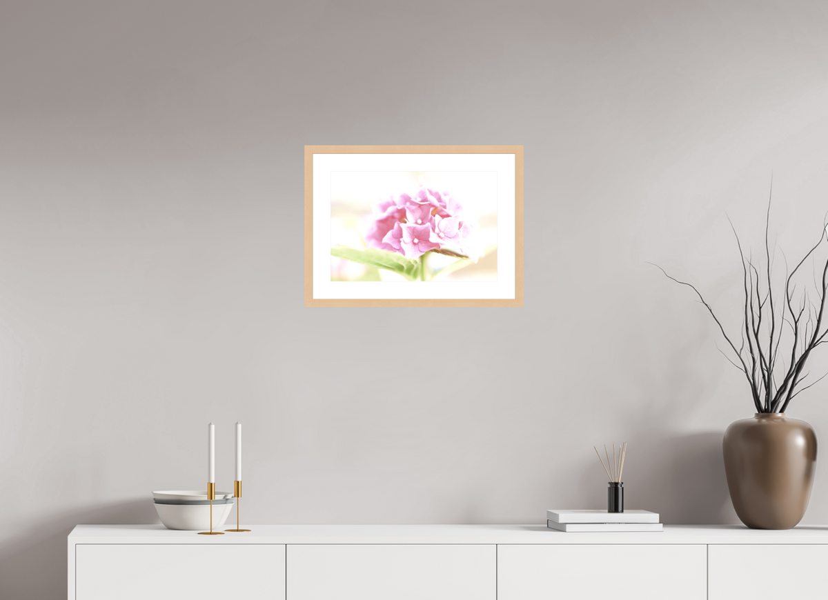 Into the Light — Gerahmte Fine Art Fotografie | Limitierte Edition